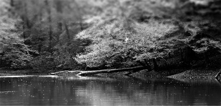 ddos免费测试